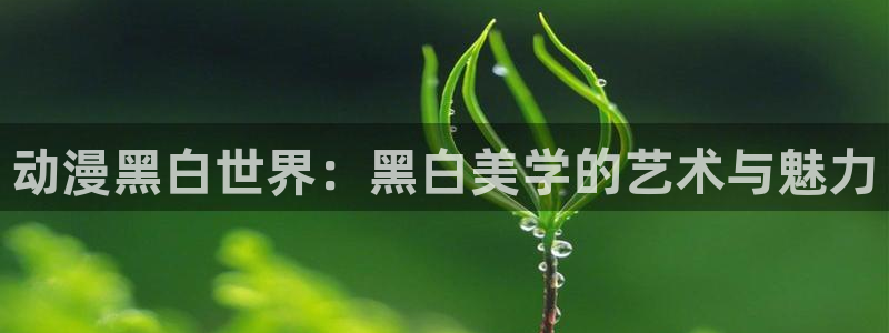 反叛的鲁路修第2季风车动漫：动漫黑白世界：黑白美学的艺术与魅力
