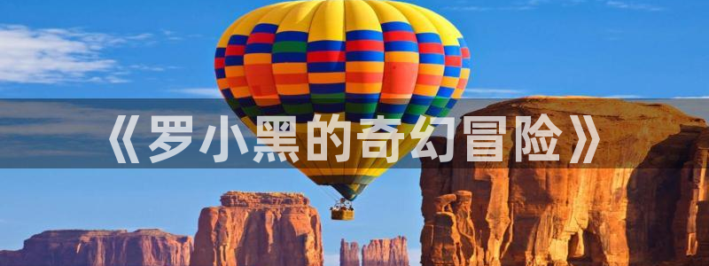 风车动漫观看：《罗小黑的奇幻冒险》